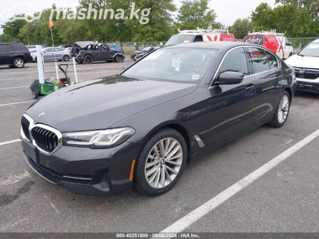BMW 5 серии VII (G30/G31) Рестайлинг 530i 2.0 AT