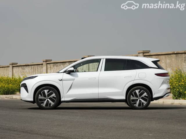 BYD Tang L DM-i 1.5hyb AT