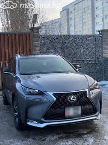 Lexus NX I Рестайлинг 300 2.0 AT