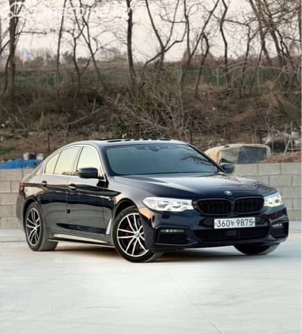 BMW 5 серии VII (G30/G31) 520d xDrive 2.0d AT 4WD