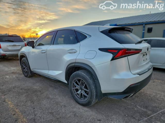 Lexus NX I Рестайлинг 300 2.0 AT 4WD